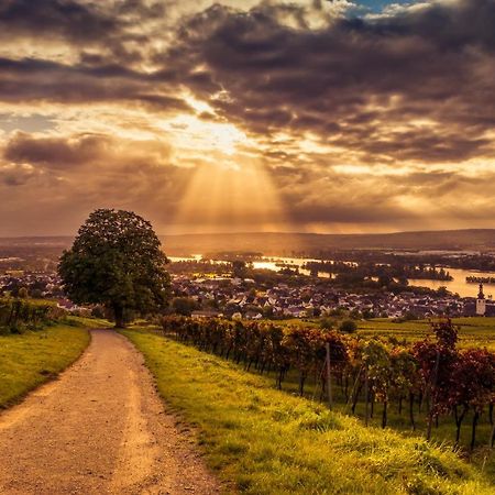 Ferienwohnung Reblaus Rüdesheim am Rhein Buitenkant foto