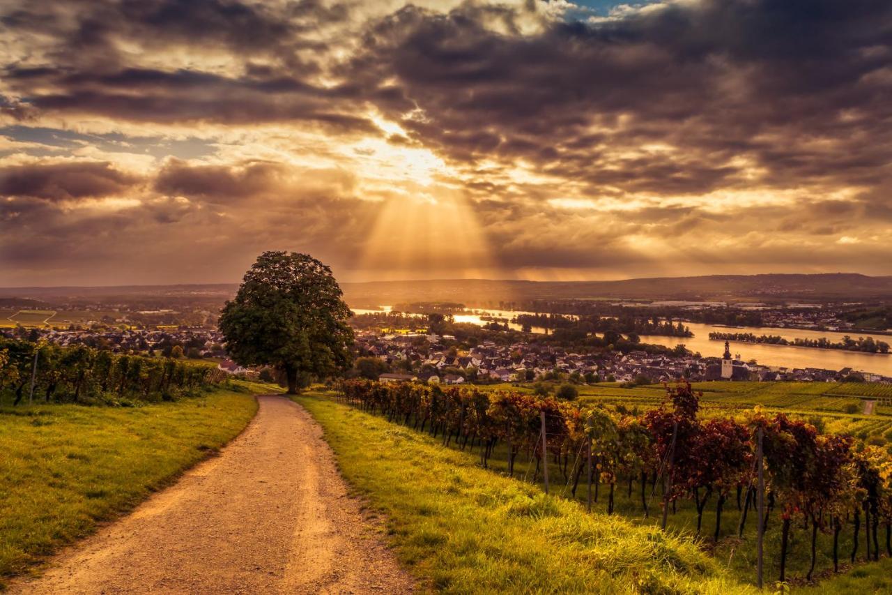 Ferienwohnung Reblaus Rüdesheim am Rhein Buitenkant foto